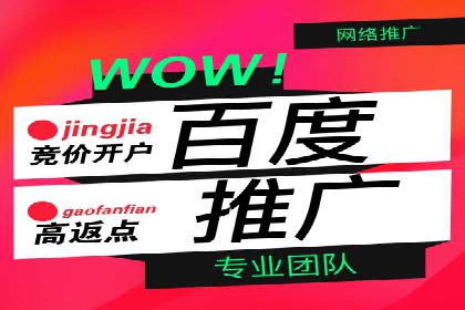 网站sem托管服务提供商的成功案例分析